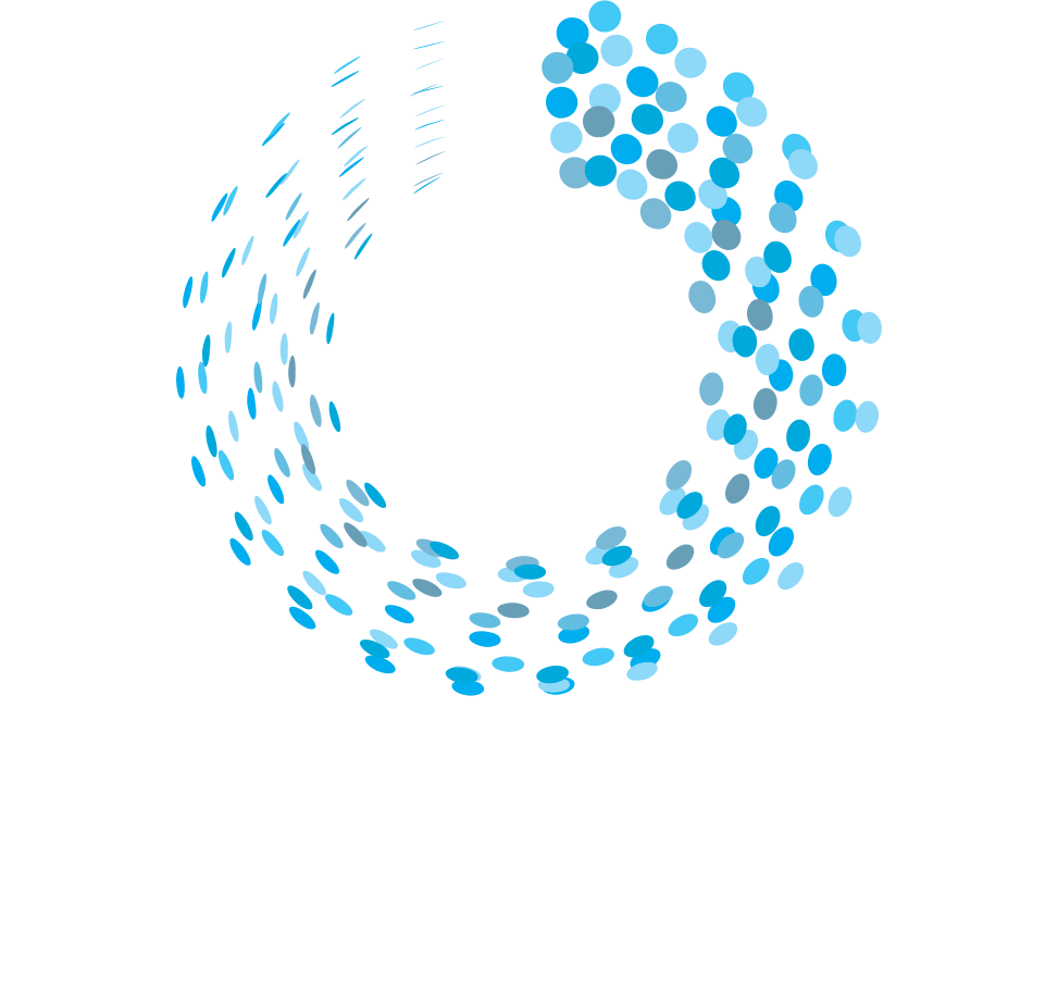 Hubbls Logo